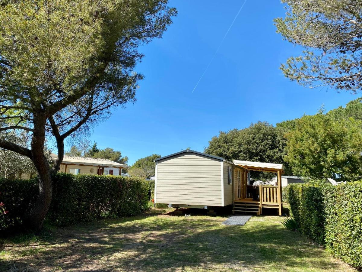 NEW Jungle Lake - Clim - WIFI - Draps&serviettes - BBQ - 10' des plages Lattes Exterior foto