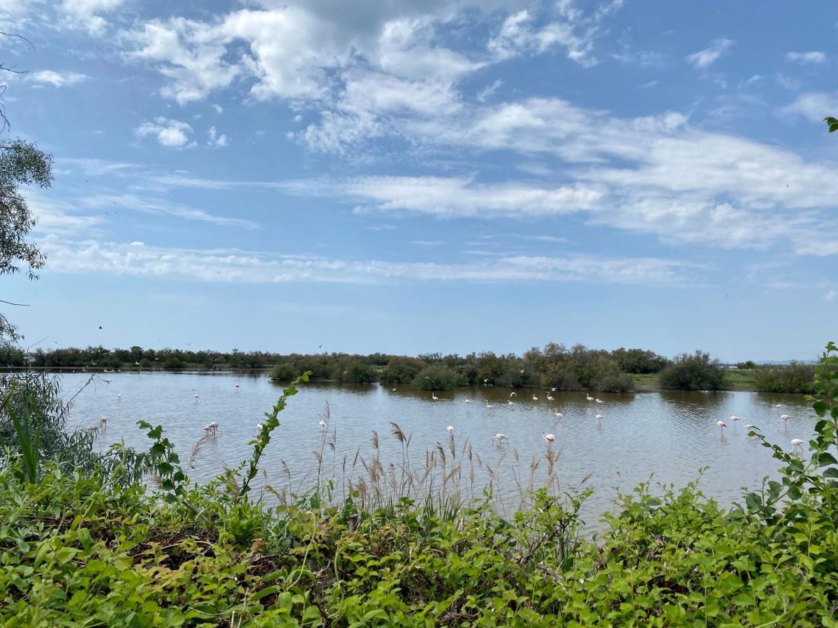 NEW Jungle Lake - Clim - WIFI - Draps&serviettes - BBQ - 10' des plages Lattes Exterior foto